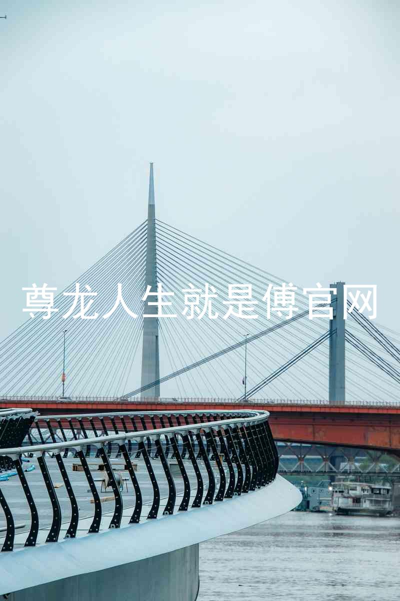 尊龙人生就是傅官网