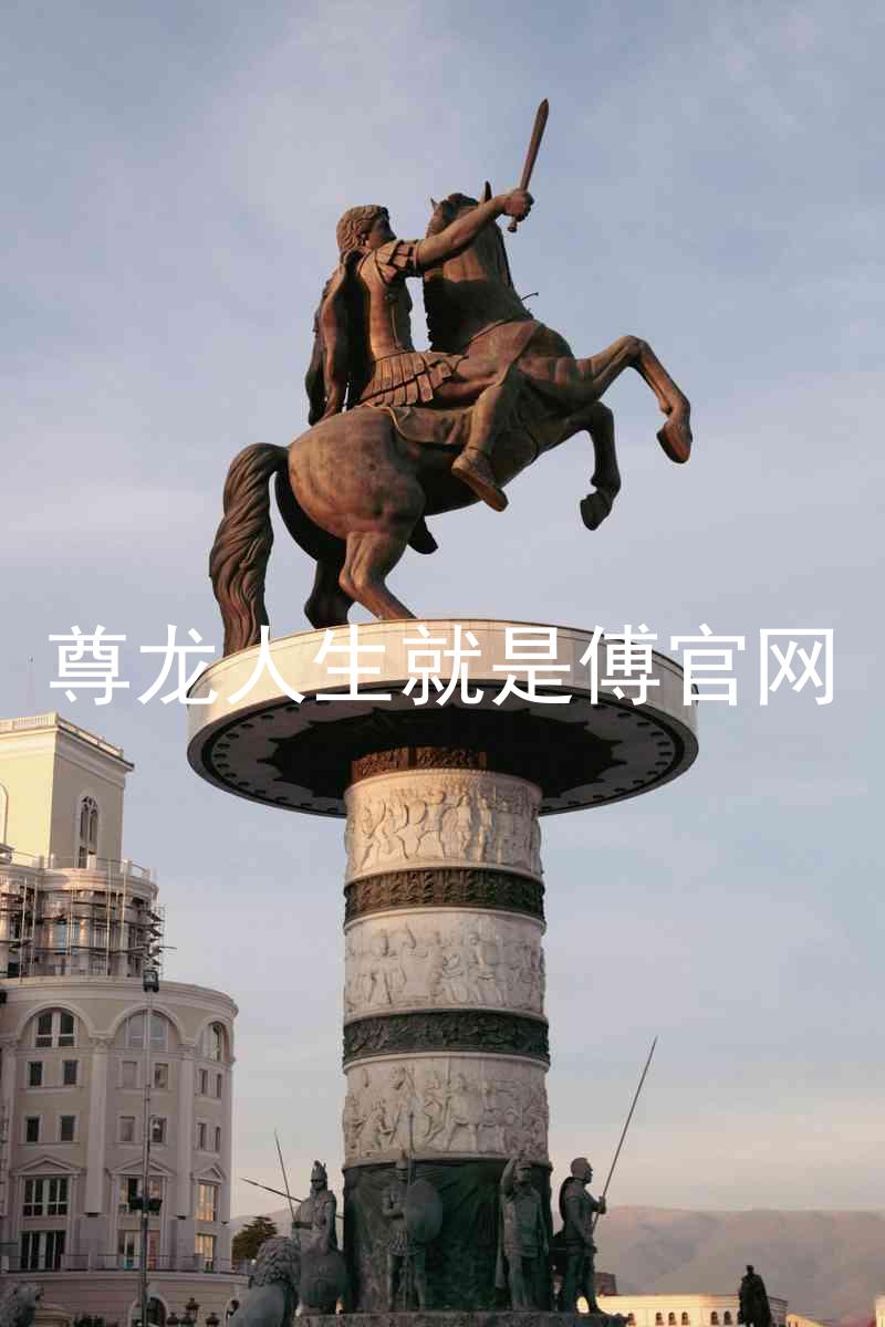尊龙人生就是傅官网