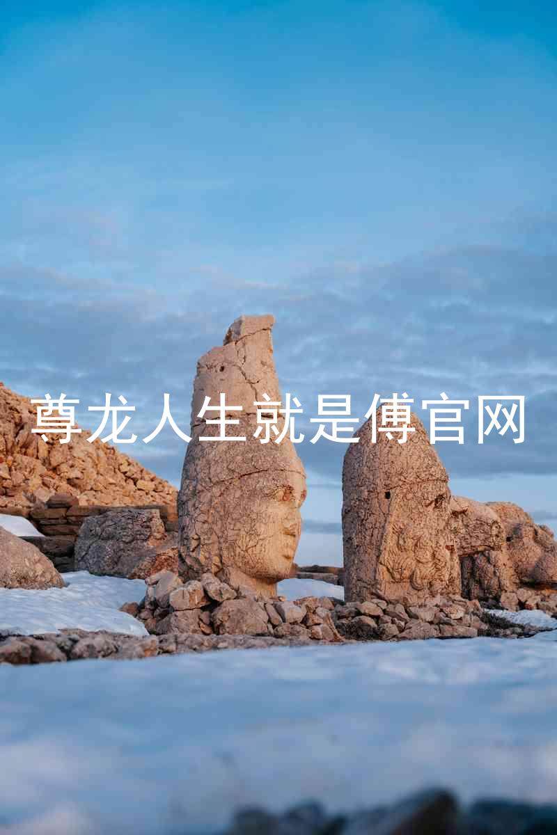 尊龙人生就是傅官网