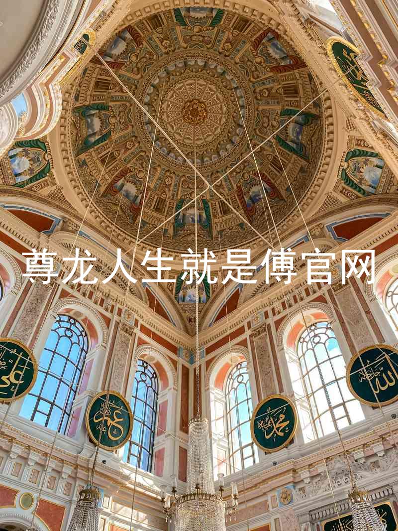尊龙人生就是傅官网